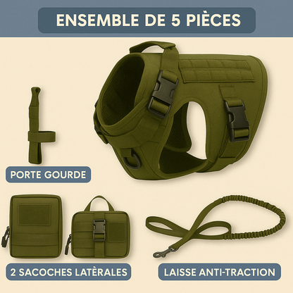 Harnais Tactik + | Polyvalent & Résistant