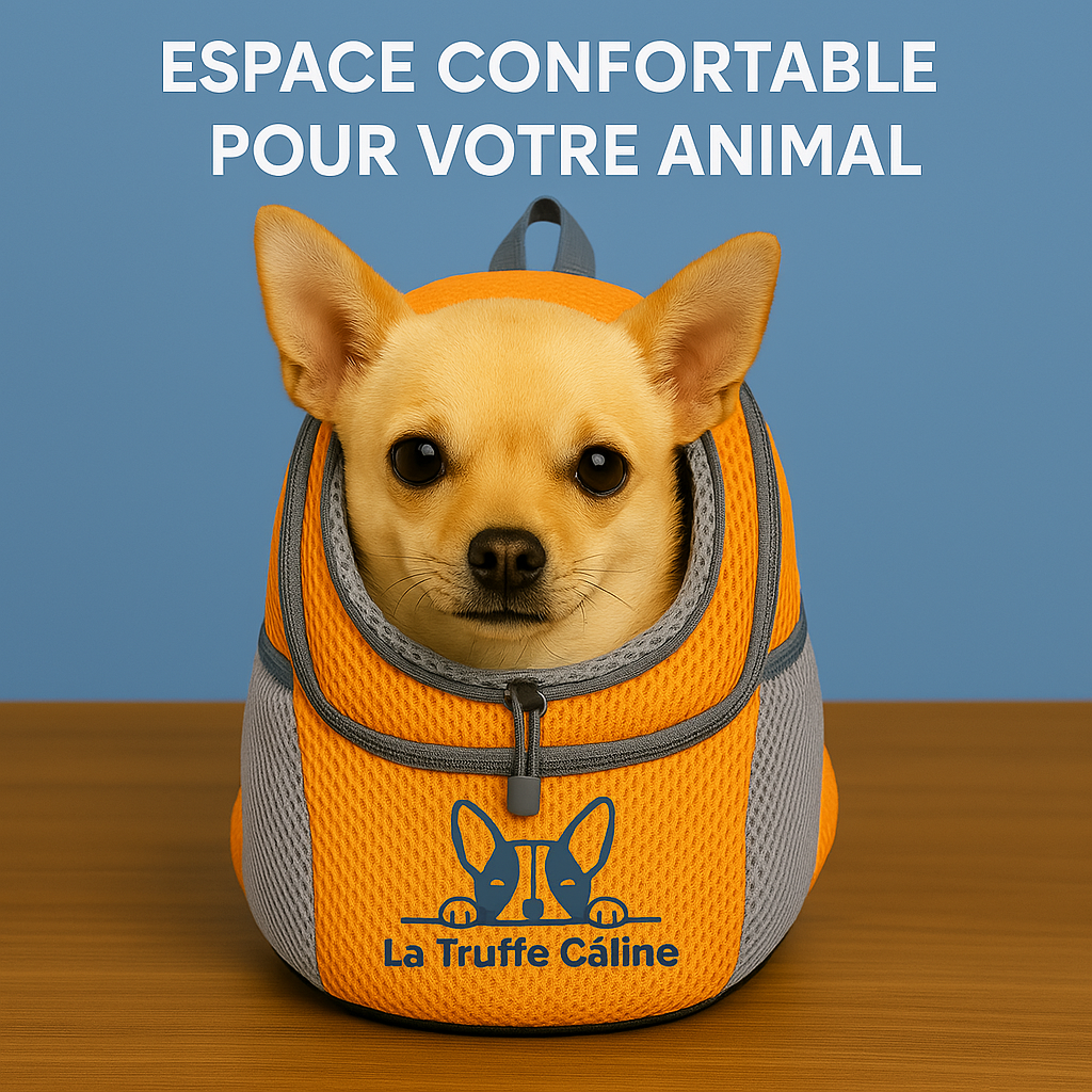 Sac De Transport Sécurisé | Chien & Chat