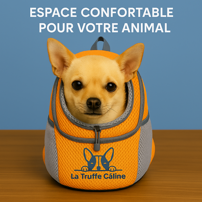 Sac De Transport Sécurisé | Chien & Chat