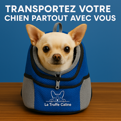 Sac De Transport Sécurisé | Chien & Chat